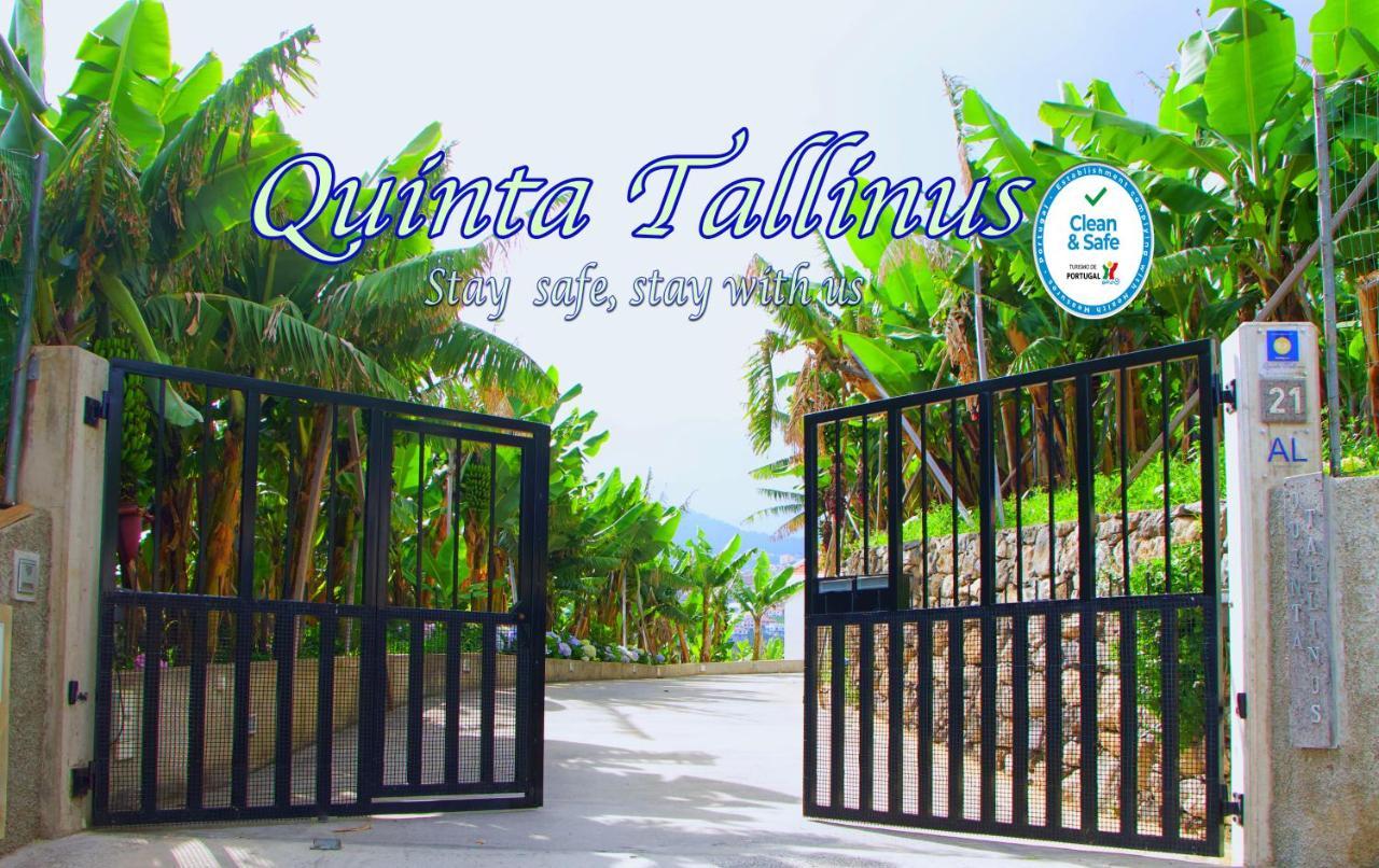 Quinta Tallinus Funchal  Bagian luar foto